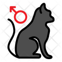 پیش‌نمایش فایل male-cat-2792906 از پک فروشگاه حیوانات خانگی