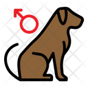 پیش‌نمایش فایل male-dog-2792894 از پک فروشگاه حیوانات خانگی