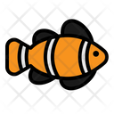 پیش‌نمایش فایل nemo-fish-2792875 از پک فروشگاه حیوانات خانگی