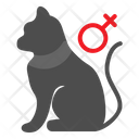 پیش‌نمایش فایل female-cat-2792791 از پک فروشگاه حیوانات خانگی