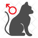پیش‌نمایش فایل male-cat-2792790 از پک فروشگاه حیوانات خانگی