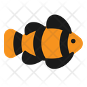 پیش‌نمایش فایل nemo-fish-2792759 از پک فروشگاه حیوانات خانگی