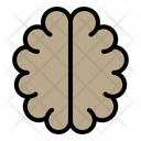 پیش‌نمایش فایل brain-3057857 از پک آموزش علوم