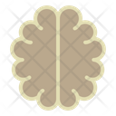 پیش‌نمایش فایل brain-3057797 از پک آموزش علوم