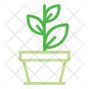 پیش‌نمایش فایل plant-3057184 از پک اکولوژی و بازیافت