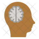 پیش‌نمایش فایل healthy-brain-3879643 از پک پزشکی سالم