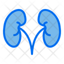 پیش‌نمایش فایل kidney-3879760 از پک پزشکی سالم