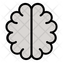 پیش‌نمایش فایل brain-3879686 از پک پزشکی سالم