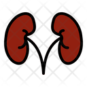 پیش‌نمایش فایل kidney-3879705 از پک پزشکی سالم