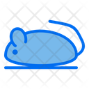 پیش‌نمایش فایل mouse-3926373 از پک فروشگاه حیوانات خانگی