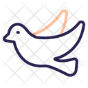 پیش‌نمایش فایل dove-11185063 از پک روز زن