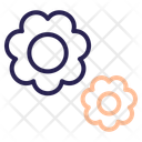پیش‌نمایش فایل flower-11185068 از پک روز زن