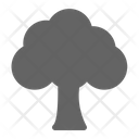 پیش‌نمایش فایل tree-1614478 از پک طبیعت و اکولوژی