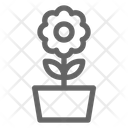 پیش‌نمایش فایل flower-1670920 از پک باغبانی