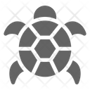پیش‌نمایش فایل turtle-1670267 از پک دریانوردی