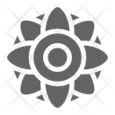 پیش‌نمایش فایل mandala-1671946 از پک درمان