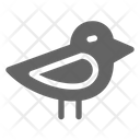 پیش‌نمایش فایل chick-1669959 از پک حیوان