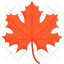 پیش‌نمایش فایل maple-5467168 از پک شکرگزاری