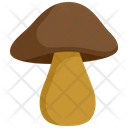 پیش‌نمایش فایل mushroom-5467170 از پک شکرگزاری