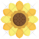 پیش‌نمایش فایل sunflower-5467178 از پک شکرگزاری