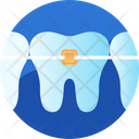 پیش‌نمایش فایل teeth-braces-1473463 از پک مراقبت دندان