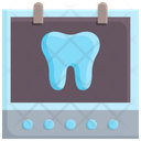 پیش‌نمایش فایل tooth-x-ray-1537145 از پک مراقبت دندان
