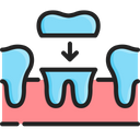 پیش‌نمایش فایل dental-cove-1537107 از پک مراقبت دندان