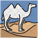 پیش‌نمایش فایل camel-1571211 از پک رمضان کریم