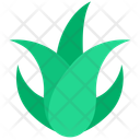 پیش‌نمایش فایل aloe-leaf-13255793 از پک مراقبت از پوست