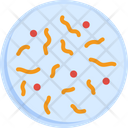 پیش‌نمایش فایل bacteria-2716307 از پک واکسن و آزمایشگاه