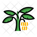 پیش‌نمایش فایل banana-tree از پک درخت