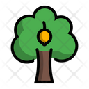 پیش‌نمایش فایل lemon-tree از پک درخت