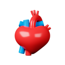 پیش‌نمایش فایل anatomy-8915413 از پک قلب و عروق