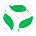 پیش‌نمایش فایل plant-based-11307727 از پک کسب‌وکارها