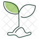 پیش‌نمایش فایل plant-based-11341556 از پک سازگار با محیط زیست