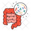 پیش‌نمایش فایل microbiome-12613538 از پک بایوهاکینگ و بهینه سازی تندرستی