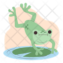 پیش‌نمایش فایل jumping-frog-5107304 از پک حیوان خانگی