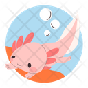 پیش‌نمایش فایل swimming-axolotl-5107308 از پک حیوان خانگی