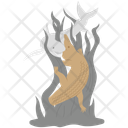 آیکن