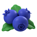 پیش‌نمایش فایل blueberries-6430780 از پک میوه‌ها