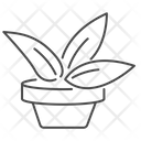 پیش‌نمایش فایل epipremnum-4737145 از پک گیاهان گلدانی