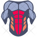 پیش‌نمایش فایل abdominals-8692507 از پک موسکلس