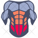 پیش‌نمایش فایل lower-abdominals-8692506 از پک موسکلس
