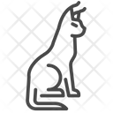 پیش‌نمایش فایل caracal-8713861 از پک استوایی و حیوانات خانگی