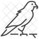 پیش‌نمایش فایل falcon-8713857 از پک استوایی و حیوانات خانگی