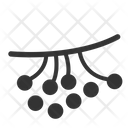 پیش‌نمایش فایل berry-1409574 از پک پاییز