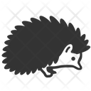 پیش‌نمایش فایل hedgehog-1409568 از پک پاییز