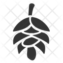 پیش‌نمایش فایل pine-cones-1409571 از پک پاییز