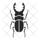 پیش‌نمایش فایل beetle-1410440 از پک حشرات