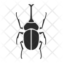پیش‌نمایش فایل beetle-1410454 از پک حشرات